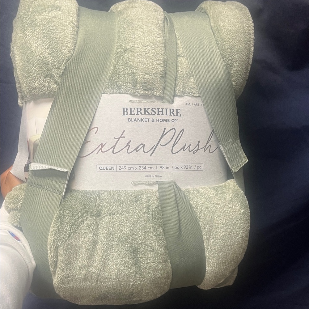 Berkshire Plush Blanket in Soft Green